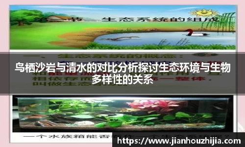 江南体育官网